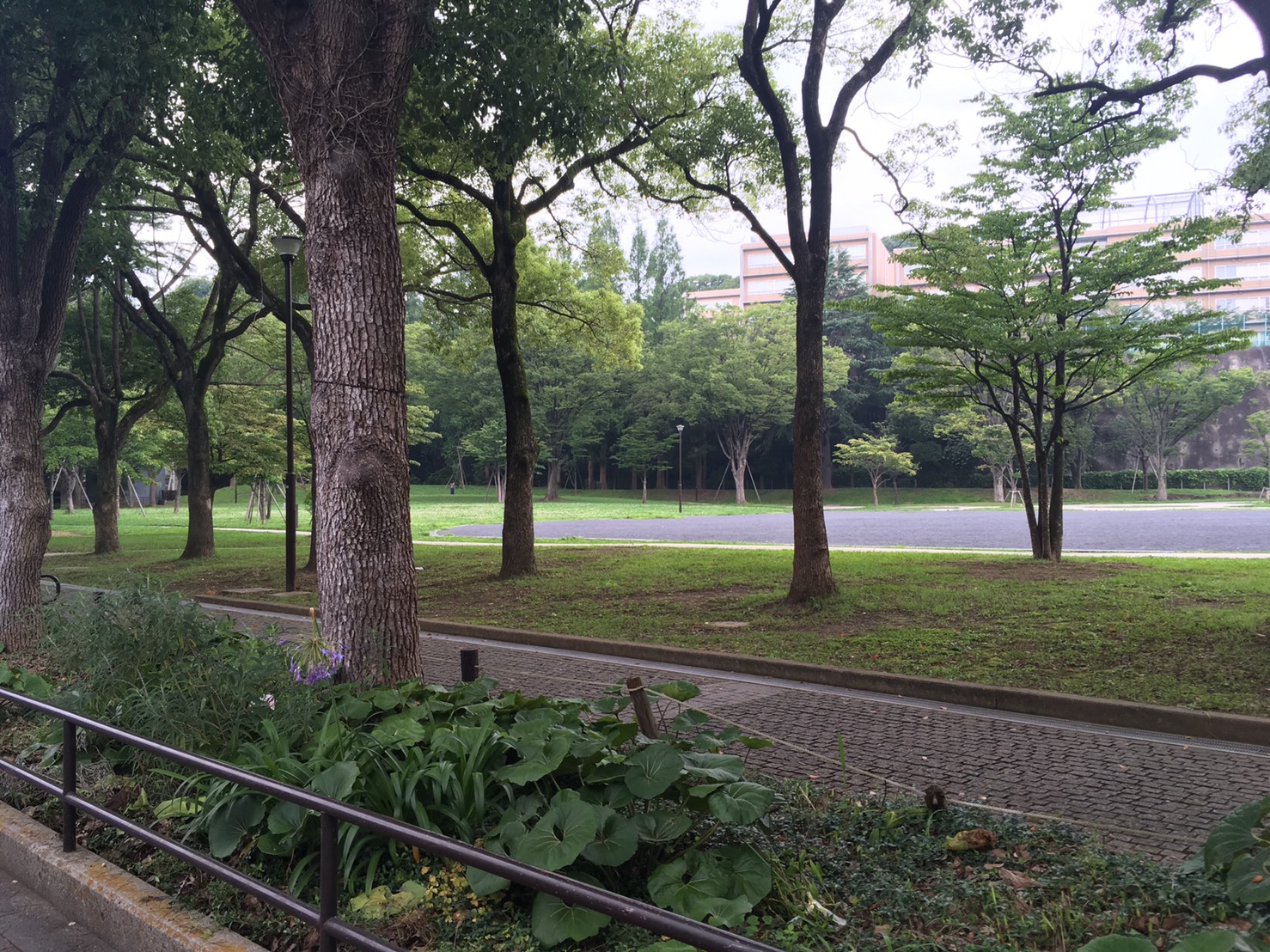 グラマラスエイチ横浜西口サロンの周辺環境をご紹介します！